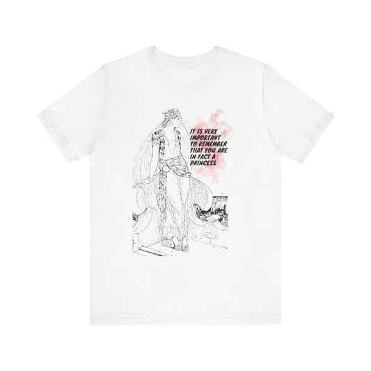 its important to remember you are in fact a princess, Jersey Short Sleeve Tee